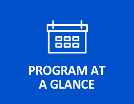 PROGRAM AT A GLANCE